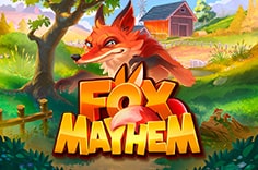 Fox Mayhem Fox Mayhem