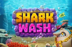 Shark Wash Shark Wash